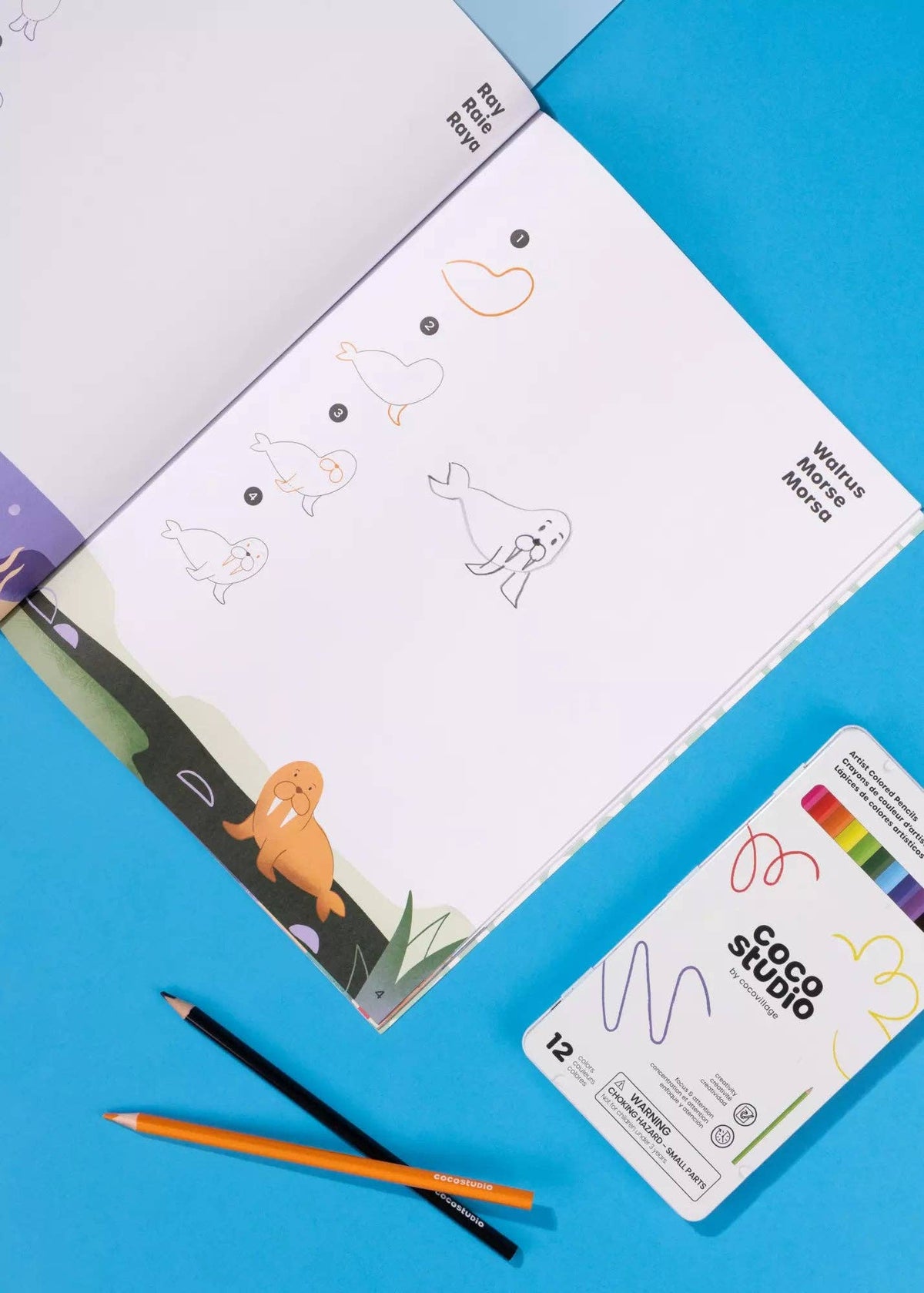 Step-by-Step Drawing Book–Under the Sea