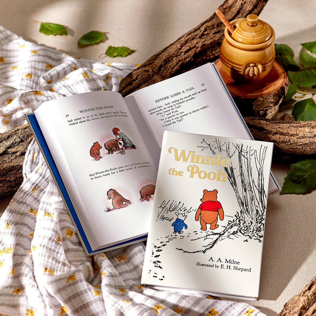 Winnie the Pooh — leather bound book
