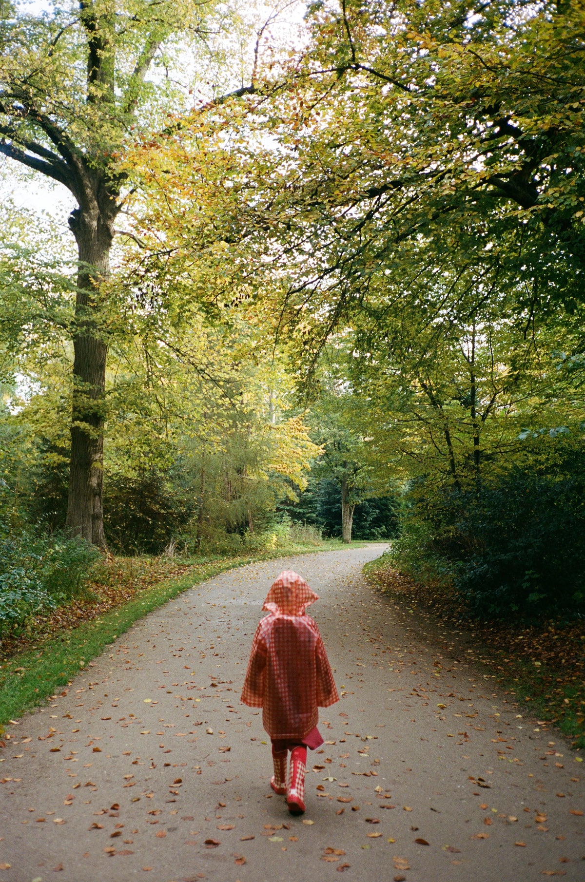Iris Raincoat