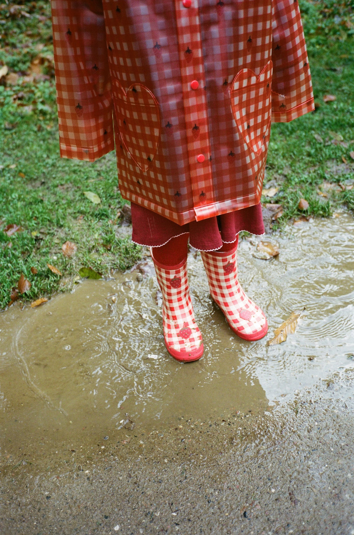 Iris Raincoat