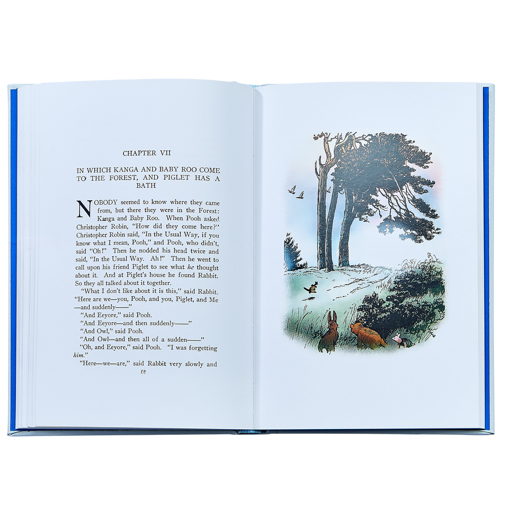 Winnie the Pooh - Leather Bound