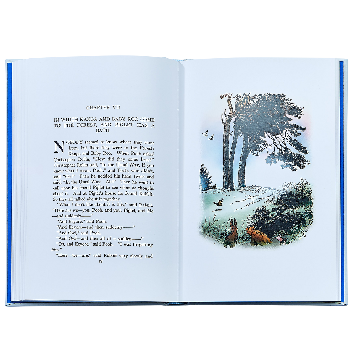 Winnie the Pooh - Leather Bound