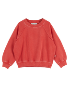 Pigment-Dyed Sweatshirt - Griotte