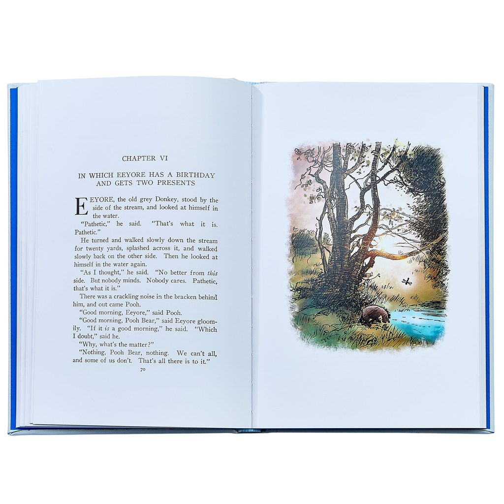 Winnie the Pooh - Leather Bound
